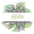 Vector hand drawn template illustration of pineapples isolated on palm tree leaves. Fresh tropical fruit engraved Royalty Free Stock Photo