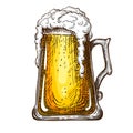 Vector hand drawn traditional beer glass full of wheat beer with foam. Beautiful vintage etched beer mug with dropping