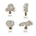 Vector hand drawn tree logo or emblem design elements. Royalty Free Stock Photo