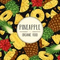 Vector hand drawn tropical banner with pineapple