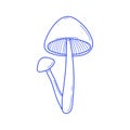 Vector Hand Drawn Two Mushrooms Sketch Isolated On White Background. Amanita Muscaria, Fly Agaric Illustration