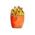 Vector Hand Drawn Watercolor Fried Potato, French Fries Illustration, Chips, Wrapped Potato Isolated.