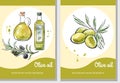 Vector hand drawn watercolor illustration of olive oil