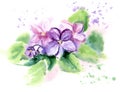 Vector Hand drawn watercolor illustration of violets. Romantic background