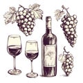 Vector Hand Drawn Wine Elements including wine glass, bottle, wine cork, grape, corkscrew icon eps10. Vector Old alcohol Royalty Free Stock Photo