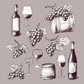 Vector Hand Drawn Wine Elements including wine glass, bottle, wine cork, grape, corkscrew icon eps10. Vector Old alcohol Royalty Free Stock Photo