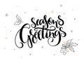 Vector hand lettering christmas greetings text - season`s greetings - with holly leaves and snowflakes