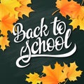 Vector hand lettering greeting text - back to school - with realistic maple leafs on blackboard background Royalty Free Stock Photo