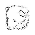 vector hand sketch drawing illustration of a wolverine done in black and white