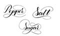 Vector hand written pepper, salt and sugar text isolated on white background Royalty Free Stock Photo
