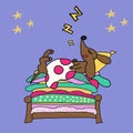 Vector handdrawn illustration of funny cartoon dachshund dog sleeping under warm blanket on pile of colorful mattresses on bed.