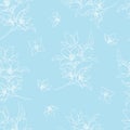 Vector handwork illustration. Drawing of blooming white flowers on a blue background. Seamless pattern with jasmines for textiles Royalty Free Stock Photo