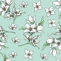 Vector handwork illustration. Drawing of blooming white jasmine with green leaves. Seamless pattern with jasmines for design