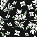 Vector handwork illustration. Drawing of blooming white jasmine with green leaves. Seamless pattern with jasmines for textiles Royalty Free Stock Photo