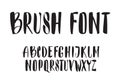 Vector handwritten brush script. Black letters isolated on white background.