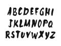Vector handwritten brush script. Modern Brushed Lettering