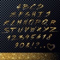 Vector Handwritten Gold Glitter Alphabet.