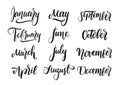 Vector handwritten type lettering of all months of the year for calendar. Seasons banners. Royalty Free Stock Photo