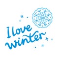 Vector handwritten winter lettering isolated on white background. I love winter inscription. Best for greeting cards, winter