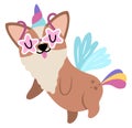 Vector happy corgi dog unicorn. Fantasy animal with rainbow horn and tail, flowers on head, wings, stars. Fairytale character for