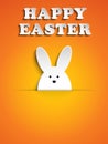 Happy Easter Rabbit Bunny on Orange Background Royalty Free Stock Photo