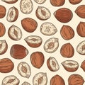 Vector hazelnut colorful seamless pattern