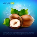 Vector hazelnuts with leaves on colorful background.