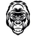 Vector head of mascot gorilla head isolated on white