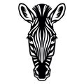 Vector head of mascot zebra head isolated on white Royalty Free Stock Photo