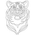 Vector head of tiger. Hand drawn coloring book page