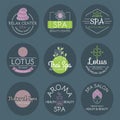 Vector health and beauty care spa badge hand drawn tags and elements set for organic cosmetics, natural products. Royalty Free Stock Photo