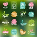 Vector health and beauty care logtypes. Spa,yoga centers badges. Wellness signs. Hand drawn tags and elements set. Royalty Free Stock Photo