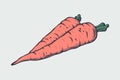 Vector healthy food illustration. Carrot hand drawn sign. Good for leaflets, cards, posters, prints, menu.
