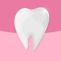 Vector healthy shiny tooth on pink background - medical illustration
