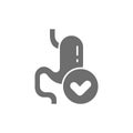 Vector healthy stomach, probiotics bacteria grey icon.