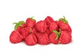 Vector heap of ripe raspberry, summer berry fruit