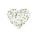 Vector heart frame template with microgreen. Herbs - pea, sunflower, onion, corn, basil, china rose, spinach, fennel Royalty Free Stock Photo