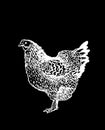 Vector hen on black background, engraved illustration Royalty Free Stock Photo