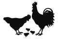 Vector hen, chicken and rooster silhouettes Royalty Free Stock Photo