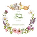 Vector herbal banner Royalty Free Stock Photo