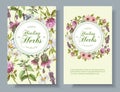 Vector herbal banner Royalty Free Stock Photo