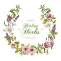 Vector herbal wreath Royalty Free Stock Photo