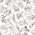 Vector herbs and spices seamless pattern