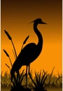 Vector heron silhouette
