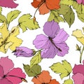 Vector Hibiscus floral botanical flower. Engraved ink art. Seamless background pattern. Fabric wallpaper print texture. Royalty Free Stock Photo