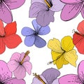 Vector Hibiscus floral tropical flowers. Engraved ink art on white background. Seamless background pattern. Royalty Free Stock Photo