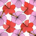 Vector Hibiscus floral tropical flowers. Engraved ink art on white background. Seamless background pattern. Royalty Free Stock Photo