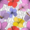Vector Hibiscus floral tropical flowers. Engraved ink art on white background. Seamless background pattern. Royalty Free Stock Photo