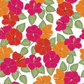 Vector Hibiscus Flowers in Pink Red Orange with Green Leaves on White Background Seamless Repeat Pattern. Background for Royalty Free Stock Photo