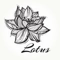 Vector high detailed beautiful Lotus flower. Tattoo, yoga, spiritualy. Engraved art isolated Royalty Free Stock Photo